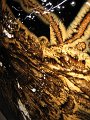 IMG_4020